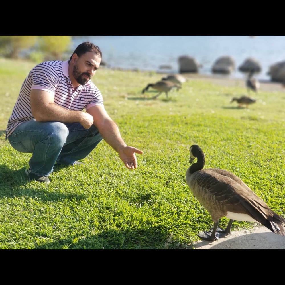 Meet your Posher, Remoun